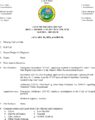 Icon of 01.16.25 Council Meeting Agenda-Revised